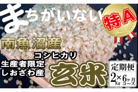 玄米 生産者限定 南魚沼しおざわ産コシヒカリ2Kg×6ヶ月