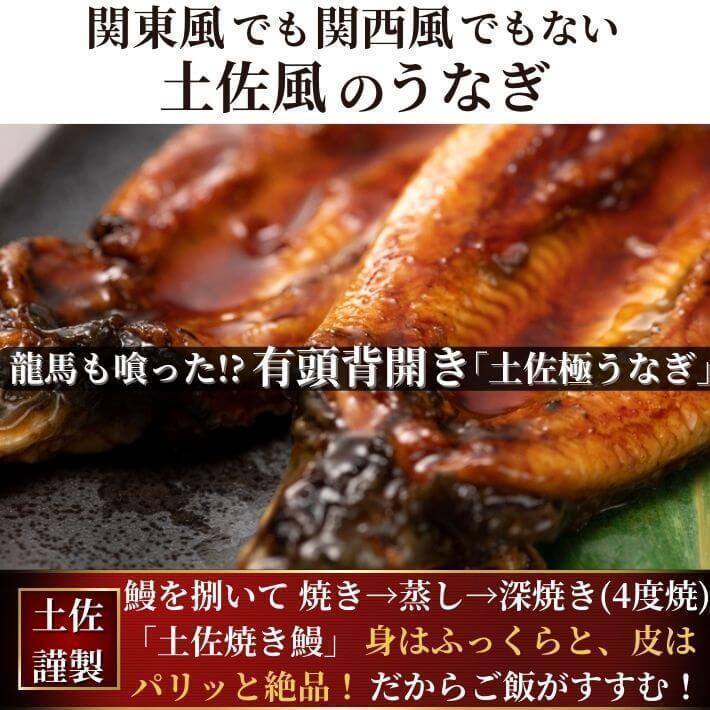 高知県産 うなぎ 蒲焼き 国産 特大200g×3尾 無投薬 仁淀川 誕生日 ギフト 贈答