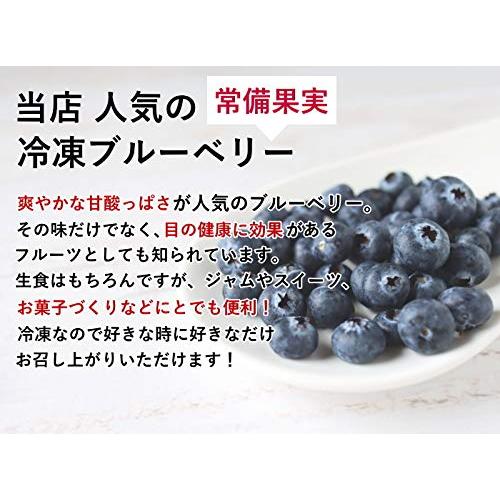 ルクール 冷凍ブルーベリー 1kg 山形産 完熟 ブルーベリー 冷凍 フルーツ お菓子作り 様々なレシピで大活躍