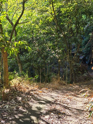 ⭐專任｜頭汴坑需要整理農地｜多筆可選⭐｜台中市太平區頭汴坑段