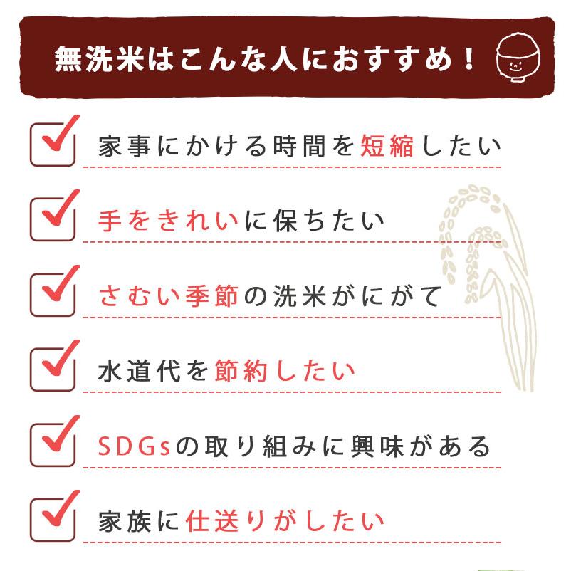 米 お米 5kg 送料無料 翌日配送 無洗米 佐渡産コシヒカリ いなほんぽオリジナル 佐渡産米  ギフト