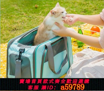 【全網低價 可打統編】寵物手提包貓咪包小型犬狗狗手提包寵物用品透氣大外出貓包大空間