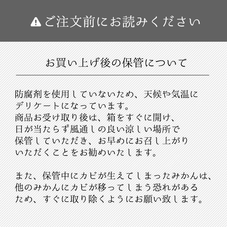  低農薬 有機栽培 三ヶ日 中生 みかん 10kg 南柑 送料無料 訳あり やさしいらぁ 3S 〜 3L サイズ不揃い オーガニック 特別栽培 有機肥料 減 農薬