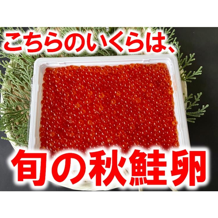 北海道産 3点セット（ホタテ貝柱 さけいくら 毛がに） 送料無料 お得セット