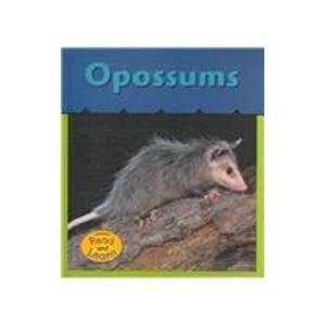 Opossums (Heinemann Read  Learn)