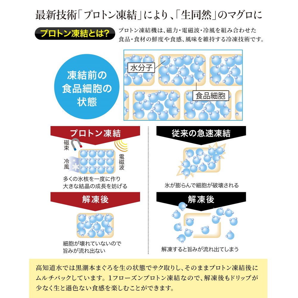 黒潮本まぐろ ブツ切り300g （赤身・トロ）