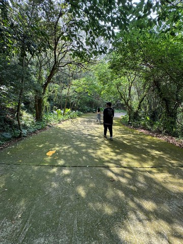 台3線旁。竹東上舘段。有樹林。農牧用地｜新竹縣竹東鎮上舘段