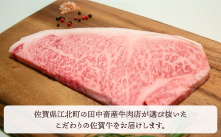 佐賀牛 プレミアム霜降りセット黒毛和牛 ステーキ スライス 焼肉[HBH071]