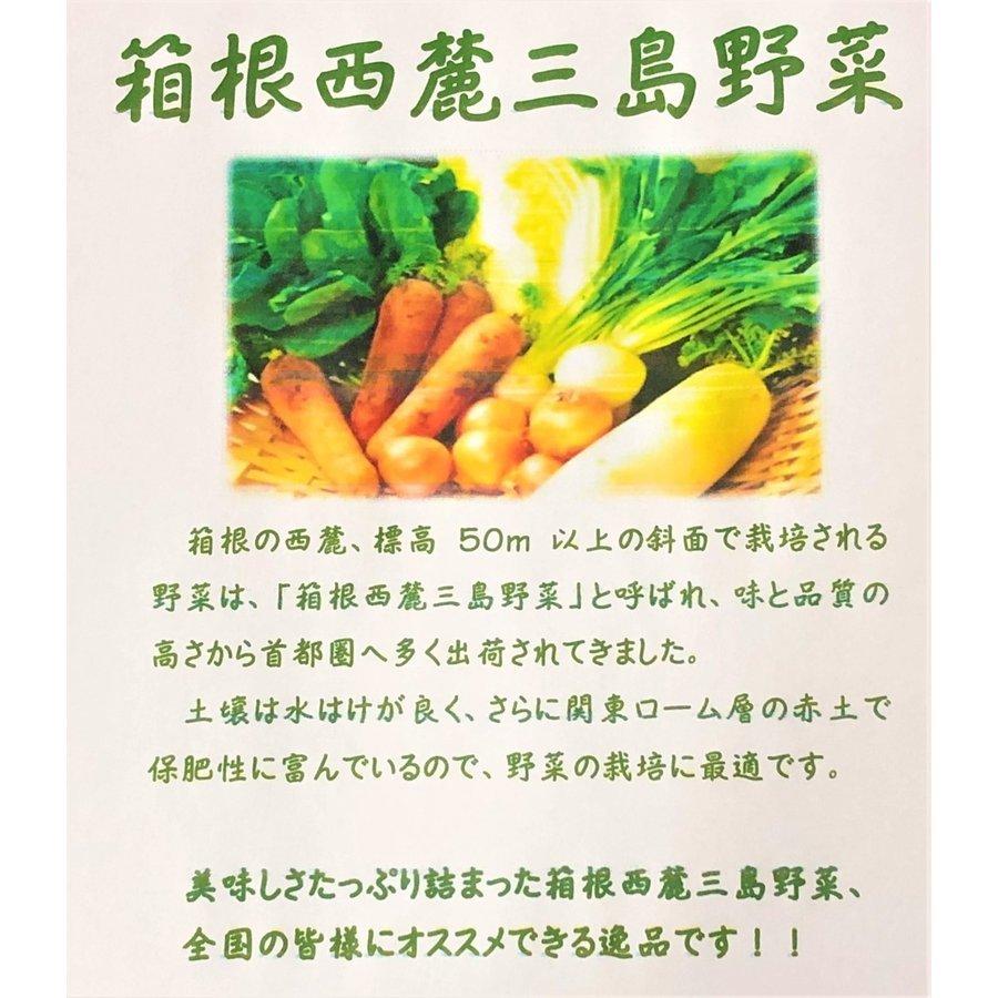 送料無料　約10〜13品目　箱根西麓三島野菜 詰め合わせ（北海道・沖縄は別途送料）