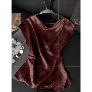 高端醋酸短袖T恤女2025夏季新款蕩領修身顯瘦小衫復古別致上衣秋