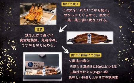 うなぎ蒲焼き　3尾入　国産　三河一色産