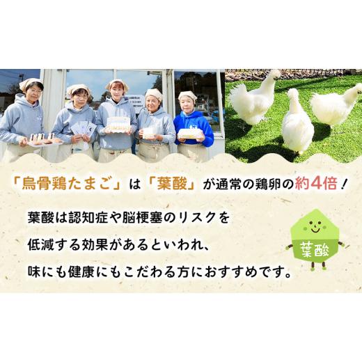 ふるさと納税 静岡県 森町 遠州森町　生で食べて欲しい烏骨鶏の卵　30個