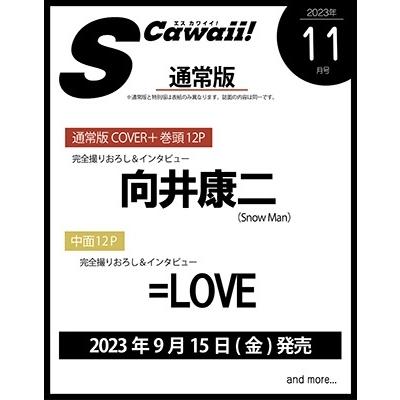 Scawaii 2023年 11月号 Magazine