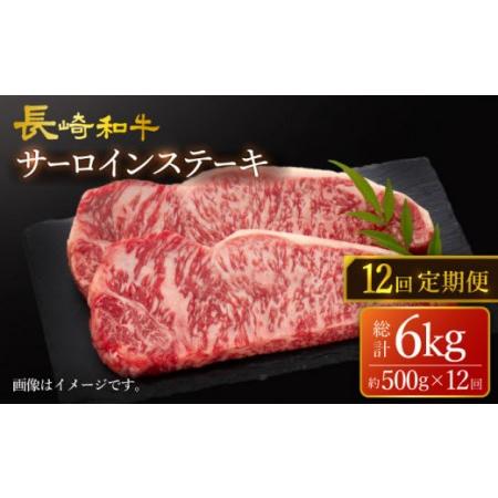 ふるさと納税  長崎和牛 サーロイン ステーキ 約500g（2枚） [CEK181] 長崎県西海市