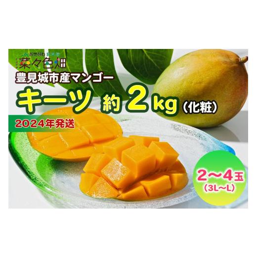 ふるさと納税 沖縄県 豊見城市 キーツマンゴー約2kg（化粧）