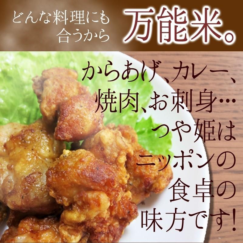 新米  令和5年産　米10kg　   宮城県産つや姫 10kg （5ｋｇ×2） 送料無料 米 お米 精米　白米