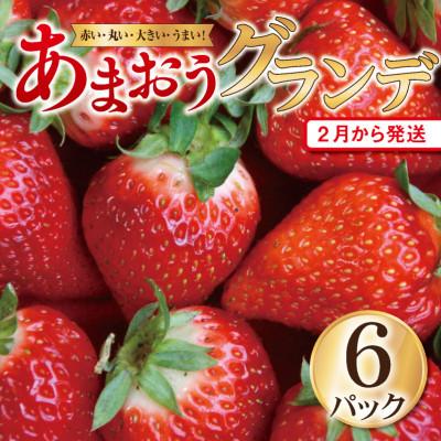 ふるさと納税 太宰府市 5玉〜15玉(6パック)(太宰府市)