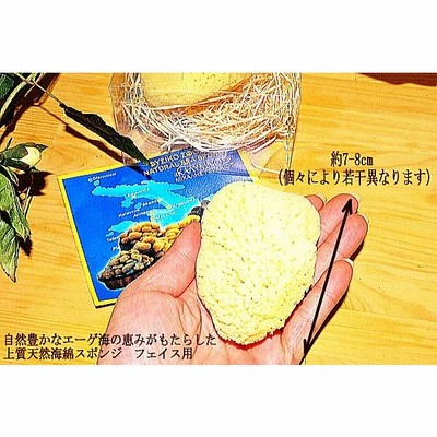 ギリシャ特産品 ギリシャ産 上質天然海綿スポンジ シルク種 L＆S