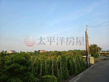 永靖近公路花園大面寬美田｜彰化縣永靖鄉永美段