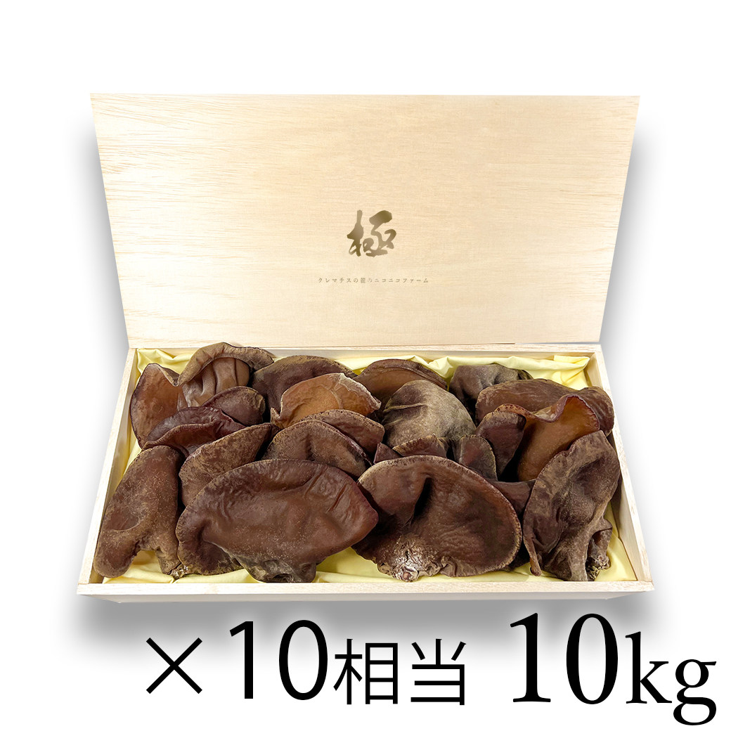 産地直送 最高級国産10kg