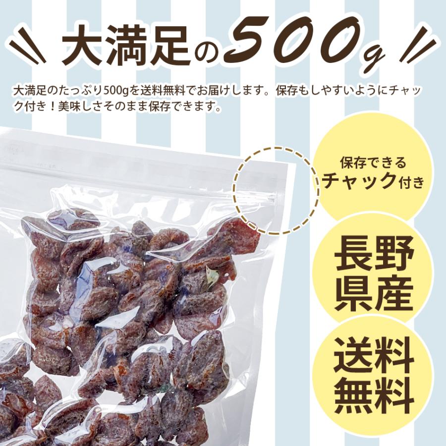 大容量 ドライフルーツ 500g 国産 あんず ドライアプリコット 業務用 おやつ 美容 健康 送料無料 げんき本舗