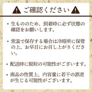 ふるさと納税 JAむなかた厳選2房(1kg以上)_PA0914 福岡県宗像市