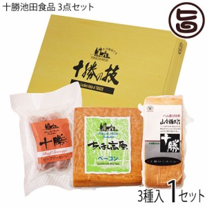 ギフト 十勝池田食品 3点セット ちほく高原ベーコン・十勝ロースハム(原木)・ビーフソーセージ 北海道 十勝 贈り物