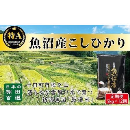 ふるさと納税 食味鑑定士が選ぶ　日本棚田百選のお米　天空の里　　魚沼産こしひかり５kg（5kg ×１）×全１２回 新潟県