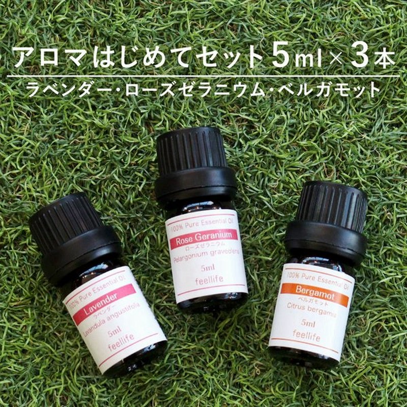 完成品 生活の木 ブレンドオイル よりどり精油3本セット 各5ml エッセンシャルオイル 精油 アロマ セット sarozambia.com 完成品 生活の木 ブレンドオイル よりどり精油3本セット 各5ml エッセンシャルオイル 精油 アロマ セット sarozambia.com