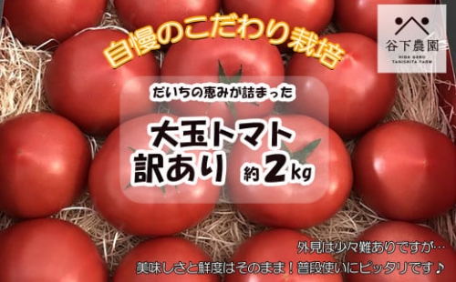 訳アリ 約 2kg 大地の恵みがぎゅーっと詰まった果肉が厚い大玉トマト 麗月 レイゲツ れいげつ とまと 訳あり