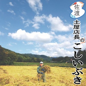 令和5年産 佐渡産こしいぶき 15kg  (白米 玄米)( 無洗米 7分づき：有料) 大野山麓で育てたお米 農薬5割減（化学肥料は慣行レベル