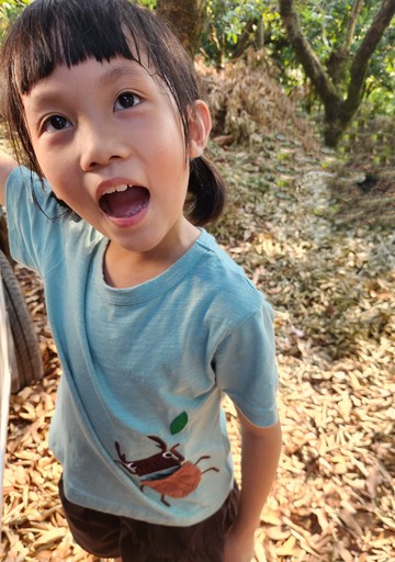 臺灣原創品牌Rakki more 2025年獨角仙兒童短袖上衣