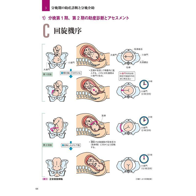 THE 分娩: ビジュアルで学ぶ 生理学・助産診断・分娩介助のすべて