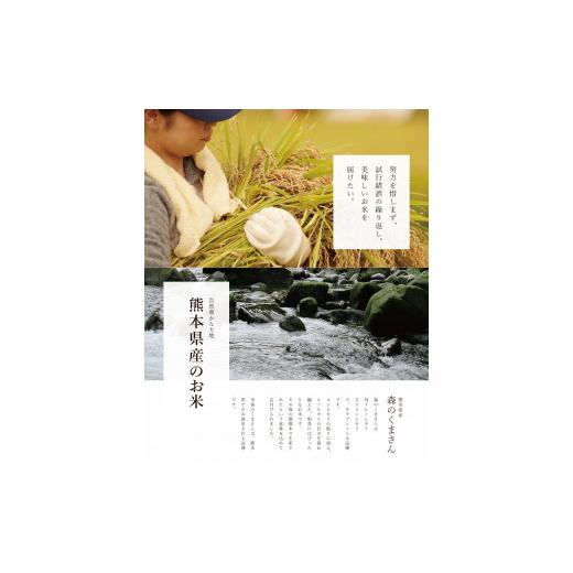 ふるさと納税 熊本県 和水町 新米 令和5年産 森のくまさん 白米27kg（27kg×1袋）