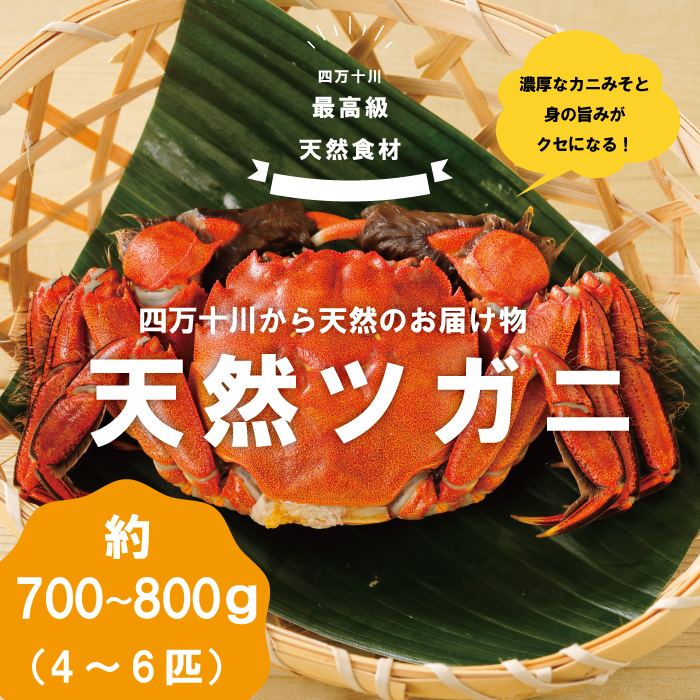 R5-030．最高級天然食材！四万十川の天然ツガニ 約700g～800g（4～6匹）