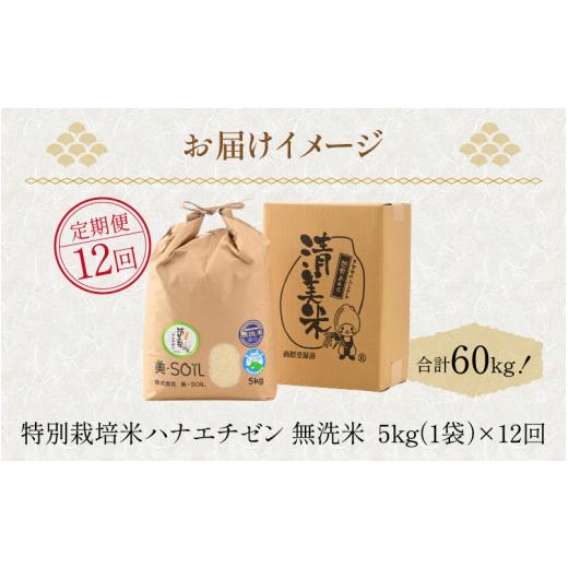 ふるさと納税 福井県 あわら市 《定期便》5kg×12回 60kg 特別栽培米 ハナエチゼン 無洗米 低農薬 《食味値85点以上！こだわり極上無洗米》 ／ …