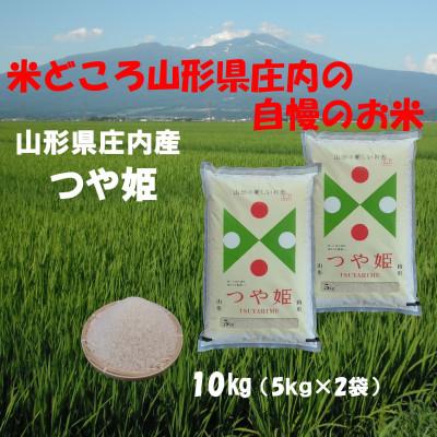 ふるさと納税 山形県 ☆令和5年産☆ 庄内産つや姫10kg(5kg×2袋)