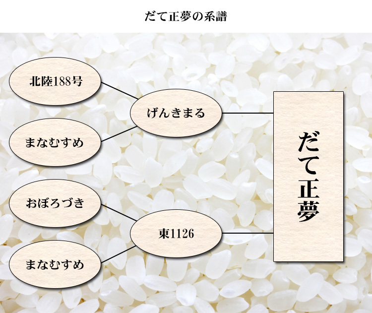 新米 米 白米 2kg だて正夢 宮城県産 令和5年産 1等米 だて正夢 お米 2キロ 安い あす楽