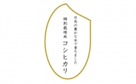 令和5年産　特別栽培米コシヒカリ　玄米10kg（5kg×2袋）