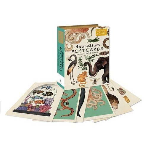 Animalium Postcards (Welcome To The Museum)