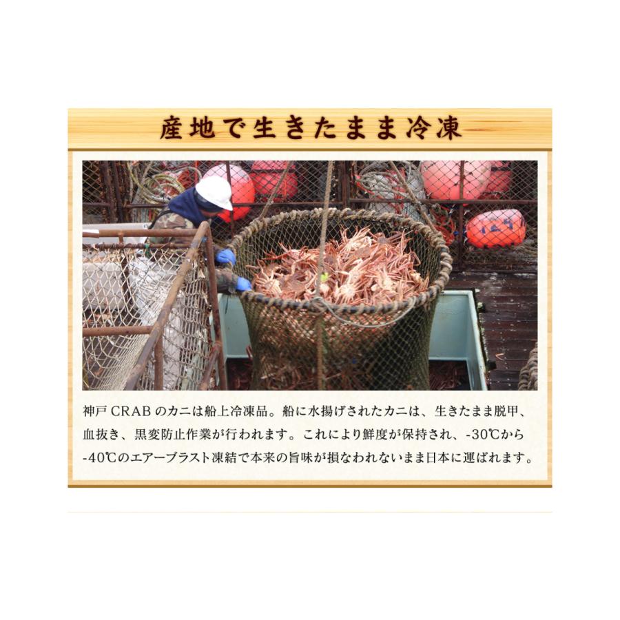 大容量 カット 生 ずわいがに 700g×3P (2.1kg) かに 蟹 刺身 カニ鍋
