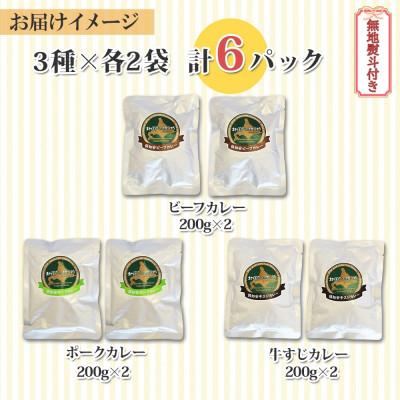 ふるさと納税 倶知安町 倶知安野菜のカレー食べ比べ3種セット ビーフ・ポーク・牛すじ 中辛計6個