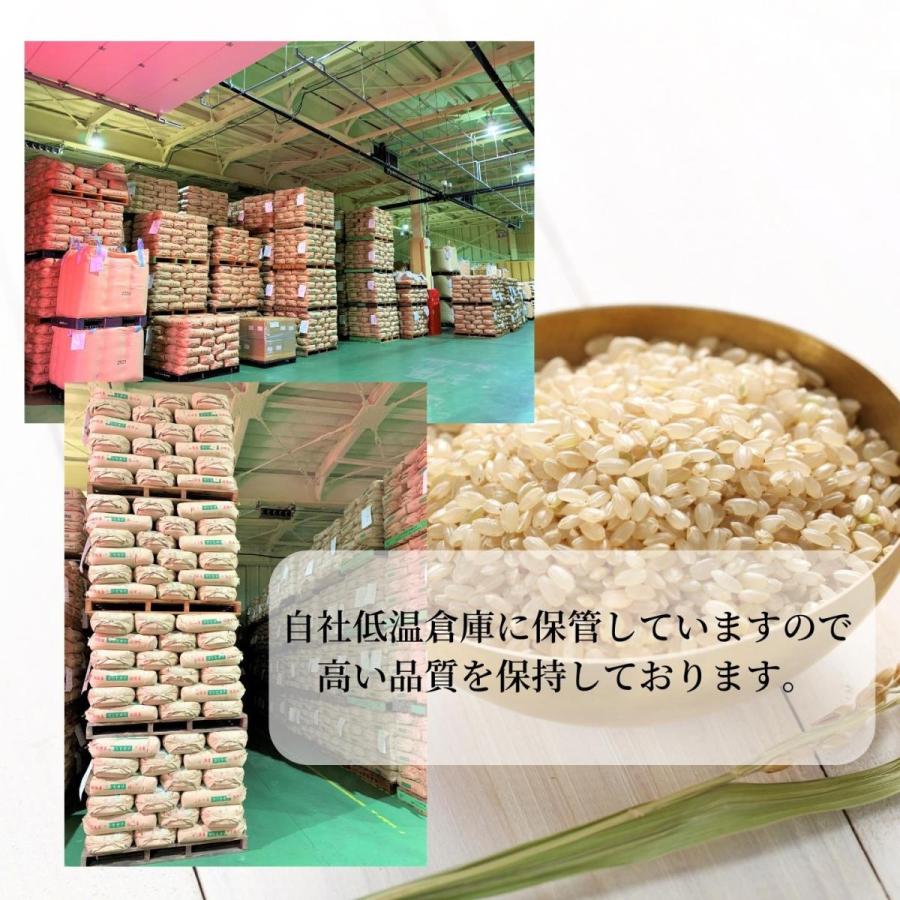 特別価格！訳あり　令和3年産　新潟県産新之助　玄米　30kg　一等米　業務用米　古米