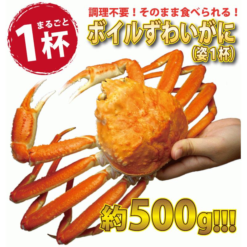 ズワイガニ姿 特大 ズワイガニ ボイル 1杯 約500g 1人前 ずわい蟹 かにみそ ((冷凍)) かに鍋 カニしゃぶ 蟹焼き かに 蟹 カニ ギフト