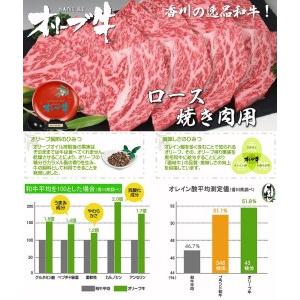 ふるさと納税 黒毛和牛オリーブ牛ロース焼肉用 約500ｇ_M18-0018 香川県三豊市