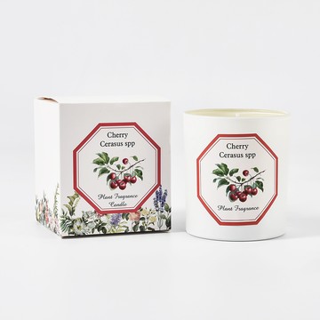【Plant Fragrance 植物大學】植物香薰手工香氛蠟燭 7oz - 櫻桃 Cherry