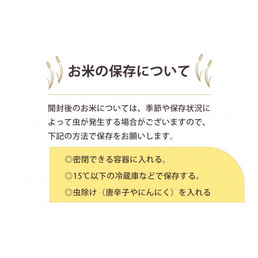 ふるさと納税 奈良県 平群町 新米 奈良のお米セット 食べ比べセット（ 奈良県産 ヒノヒカリ 5kg x2 コシヒカリ 5kg ×2) 計20kg 米