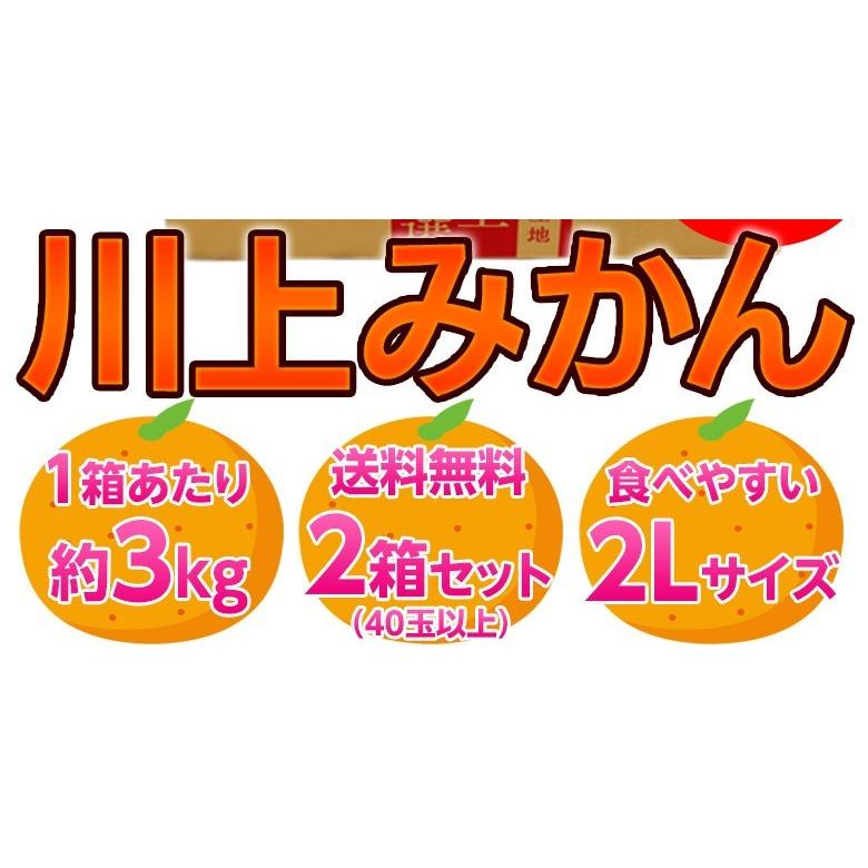 みかん ミカン 愛媛県産 西宇和 川上みかん 大玉２Ｌサイズ 約3kg×2箱 合計約6kg 送料無料