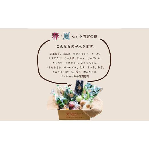 ふるさと納税 福島県 白河市 《有機JAS認証》オーガニック 季節のお野菜セット（大）定期便 3ヶ月連続 F21R-864