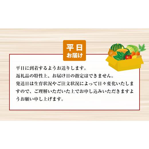 ふるさと納税 兵庫県 淡路市 淡路島の新鮮野菜セット